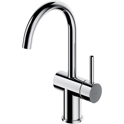 Смеситель для умывальника с поворотным изливом OMNIRES Y Y1219CR (хром)