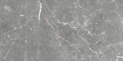 GT99VG Плитка облиц. Capella GT Сер. 50*25 _ 1 \74,25