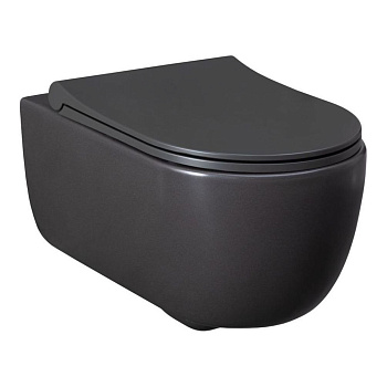 Чаша подвесного унитаза Allen Brau Priority 4.31001.AN антрацит Чаша подвесного унитаза Allen Brau Priority 4.31001.AN антрацит