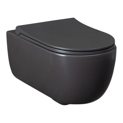 Чаша подвесного унитаза Allen Brau Priority 4.31001.AN антрацит Чаша подвесного унитаза Allen Brau Priority 4.31001.AN антрацит