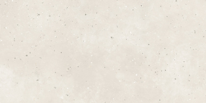 Керамогранит G-41/AMR/300x600x9 GRASARO 30х60