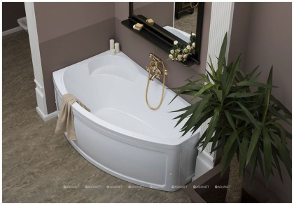 Акриловая ванна Aquanet Sofia 170x90 L