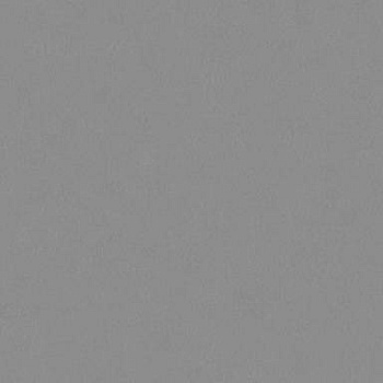 Спортивный линолеум Tarkett Omnisports Action 65 Grey