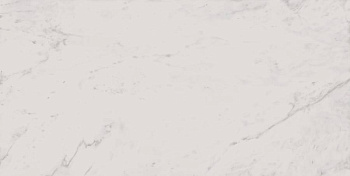 Керамогранит MO01 30,6x60,9x8 Непол.