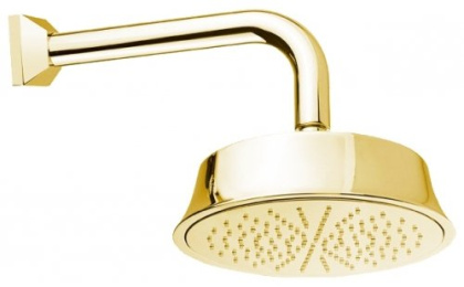 CZR-TDD1-01 Излив для душа 30 см с верхним душем D21,7 см, круглое сечение Исполнение: Хром  CZR-TDD1-01 Излив для душа 30 см с верхним душем D21,7 см, круглое сечение Исполнение: Хром