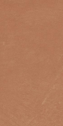 Керамогранит Anti-Slip Argillae Coral Rect 30х60