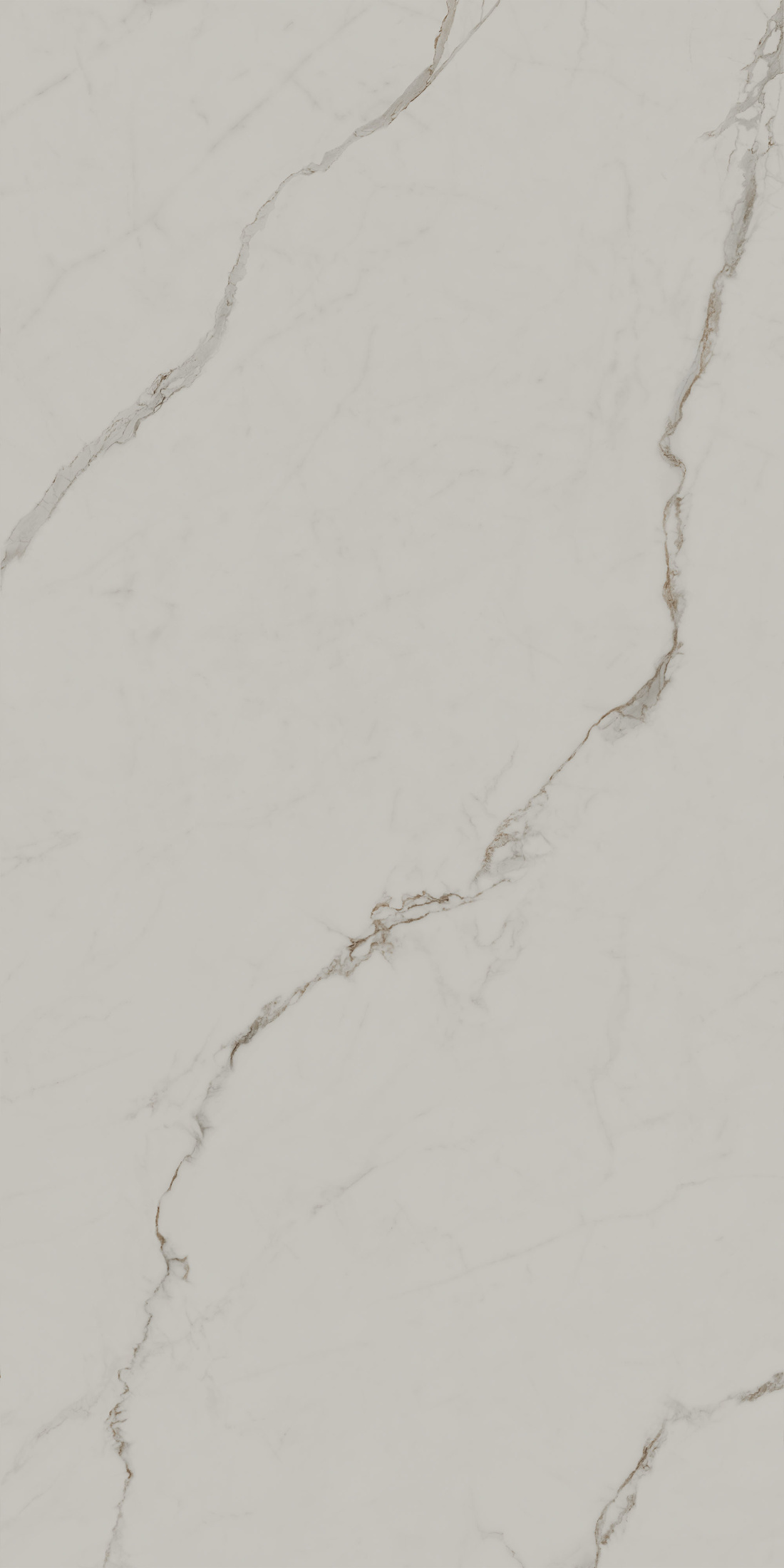 Монте Тиберио бежевый светлый матовый обрезной 80x160x0,9