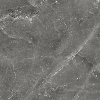 GT606012109SPR Керамогранит Tulip_GT Темно-сер. 60x60 _ 1\54,72