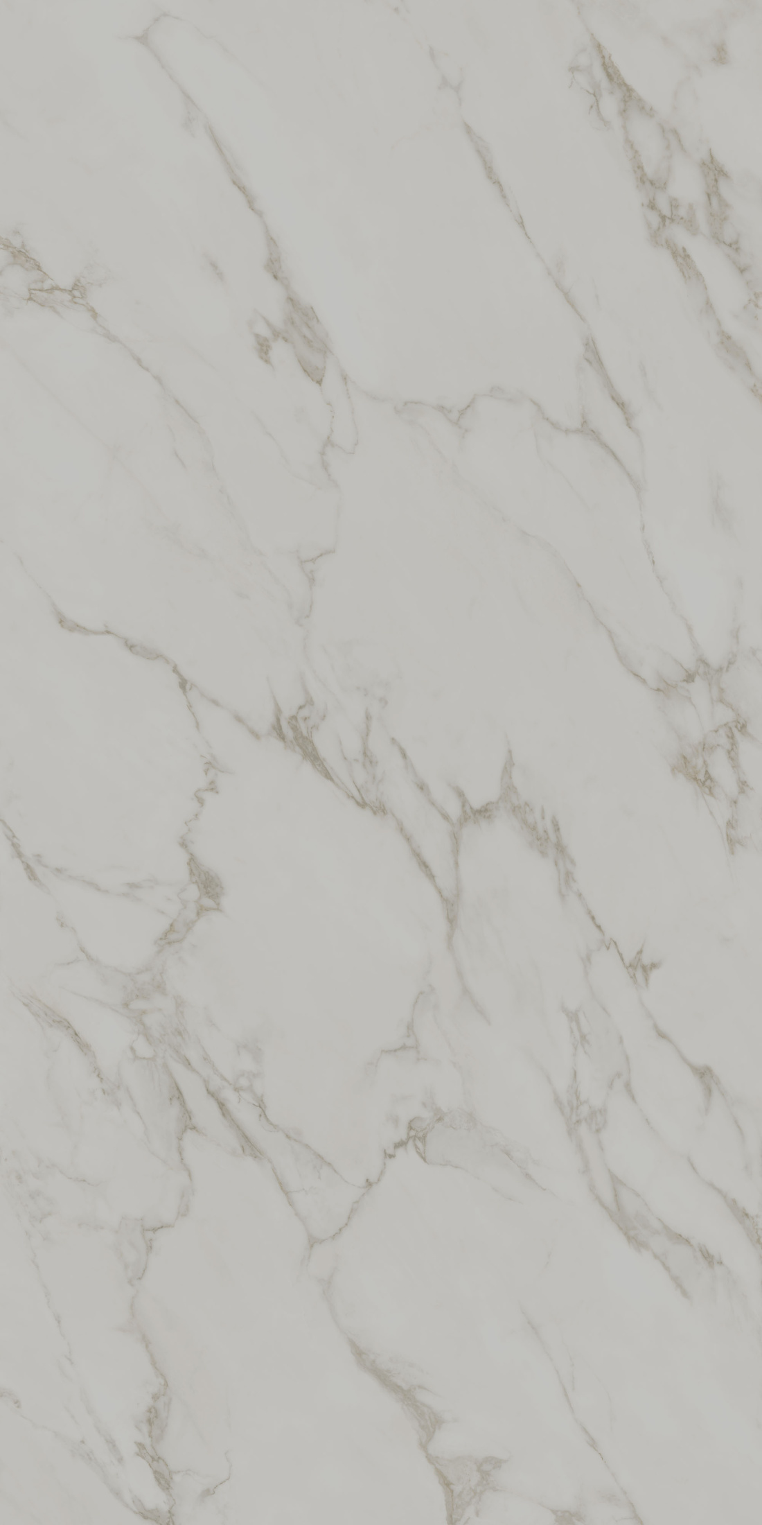 Монте Тиберио серый светлый матовый обрезной 119,5x238,5x1,1