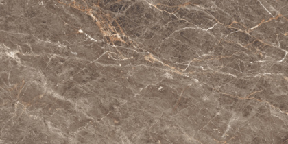 Duna/Bluezone - Istanbul - Керамогранит - Sepia Glossy - 120х60 см