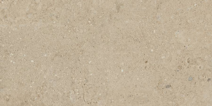 Керамогранит NP02 30,6x60,9x8 Непол.