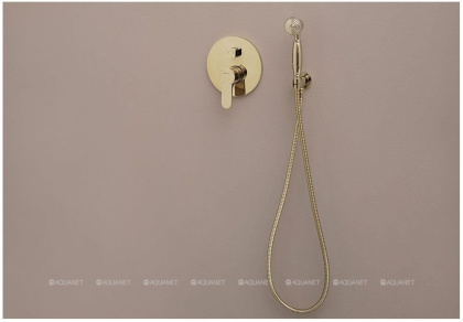 Душевая лейка Aquanet Classic ARB07-T