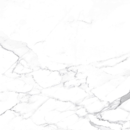 Carrara Terrific Silver Керамогранит белый 60х60 Матовый