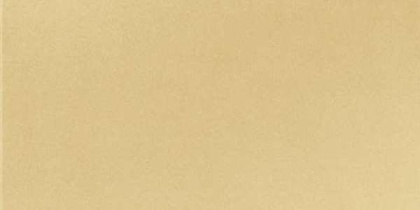 GT065М 600х1200 матовый