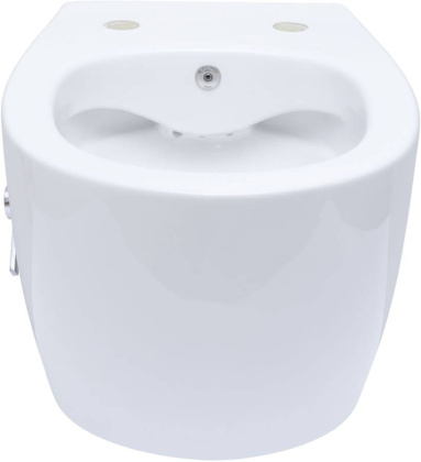 Подвесной унитаз Allen Brau Fantasy 4.11HC1.20