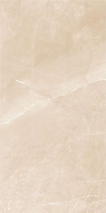 PGT 2200/30 Керамогранит Inspiro NB_GT Беж. 120x60 Полир._ 1\43,2
