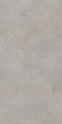 GT1206017701MR Керамогранит Cassini_GT Серый 60x120 _ 1\46,08