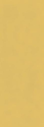 Плитка Cloud Gold 35х100