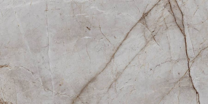 Керамогранит Laparet Silver Root полированный 60х120 (2шт_1,44м2), м2