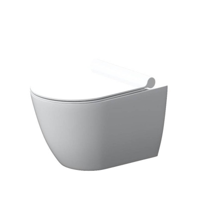 DX22C1700SC Apollo Унитаз подвесной без ободка с сиденьем микролифт