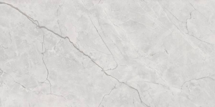 Connect Gris Керамогранит серый SG50002922R 60х119,5 полированный