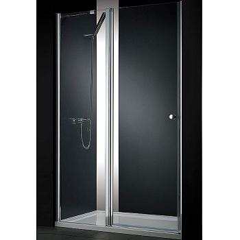 ELENA-W-B-12-120-C-Cr Душевая дверь