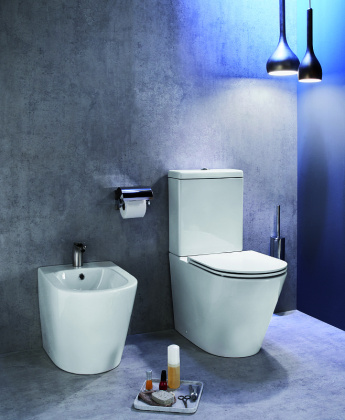 Крышка-сиденье для унитаза  E23280-00 Jacob Delafon Rodin+ белый с микролифтом, шт Крышка-сиденье для унитаза  E23280-00 Jacob Delafon Rodin+ белый с микролифтом, шт