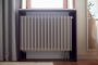 Трубчатый радиатор Параллели В 1-300-3, (базовое исполнение)