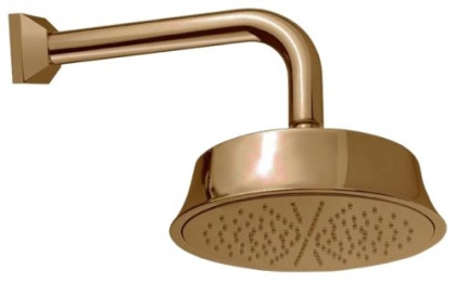 CZR-TDD1-01 Излив для душа 30 см с верхним душем D21,7 см, круглое сечение Исполнение: Хром  CZR-TDD1-01 Излив для душа 30 см с верхним душем D21,7 см, круглое сечение Исполнение: Хром