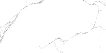 Плитка Ariston Classic Satin 60x120 (2 шт.в уп)