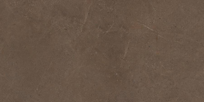 Керамогранит GO03 60x120x10 Непол.Рект.