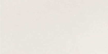 GT202М 600х1200 матовый