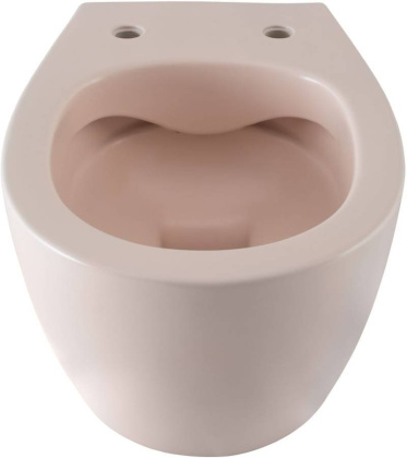 Чаша подвесного унитаза Allen Brau Fantasy 4.11004.SM розовый Чаша подвесного унитаза Allen Brau Fantasy 4.11004.SM розовый