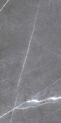 GRS05-05 600х1200 матовый