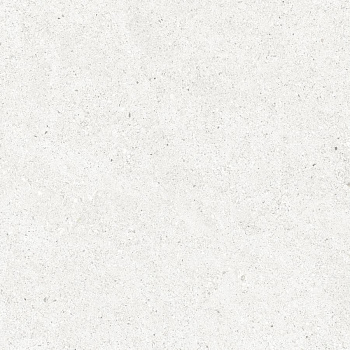 Perla Bianco Керамогранит светло-серый CR6060G0471R 59,5х59,5 матовый