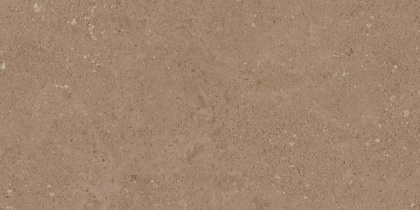 Керамогранит NP03 30,6x60,9x8 Непол.