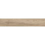 Керамогранит матовый FOREST NATURAL 20x120 MATT, Forest
