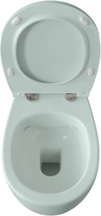 Чаша подвесного унитаза Allen Brau Fantasy 4.11004.MT мятный Чаша подвесного унитаза Allen Brau Fantasy 4.11004.MT мятный