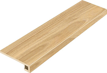 Мезон Шампэйн Ступ.120 Фронт