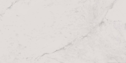 Керамогранит MO01 30,6x60,9x8 Непол.