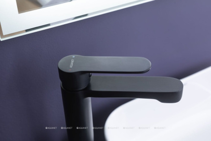 Смеситель для раковины Aquanet Passion AF300-11B Смеситель для раковины Aquanet Passion AF300-11B