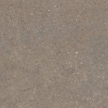 Дискавер Дезерт 60 Рет