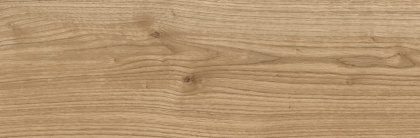 6264-0119-1001 Керамогранит Джордано_LB рустик мед. 20x60 _ 1\61,44