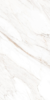 Керамогранит Calacatta Gold Polished 60х120