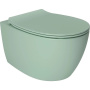 Чаша подвесного унитаза Allen Brau Fantasy 4.11004.MT мятный Чаша подвесного унитаза Allen Brau Fantasy 4.11004.MT мятный