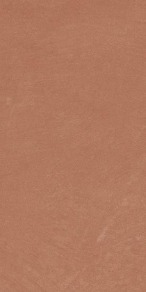 Керамогранит Argillae Coral Rect 30х60 Керамогранит Argillae Coral Rect 30х60