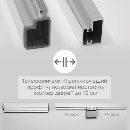 Berkel 48P05 Душевая дверь Wasserkraft