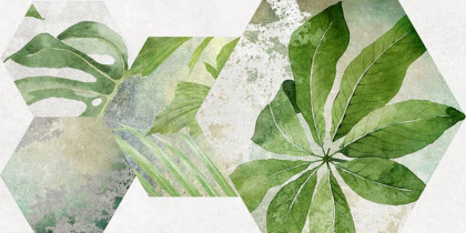 Плитка настенная 34090 Focus зеленый ботаника 25*50 (12шт/1,5м2),м2