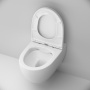 C111700SC Awe подвесной унитаз FlashClean с сиденьем микролифт