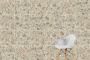 60х60 CityStone Чеппо Мультиколор Матовый R10A 7Рек